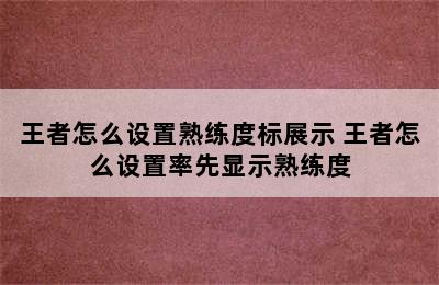 王者怎么设置熟练度标展示 王者怎么设置率先显示熟练度